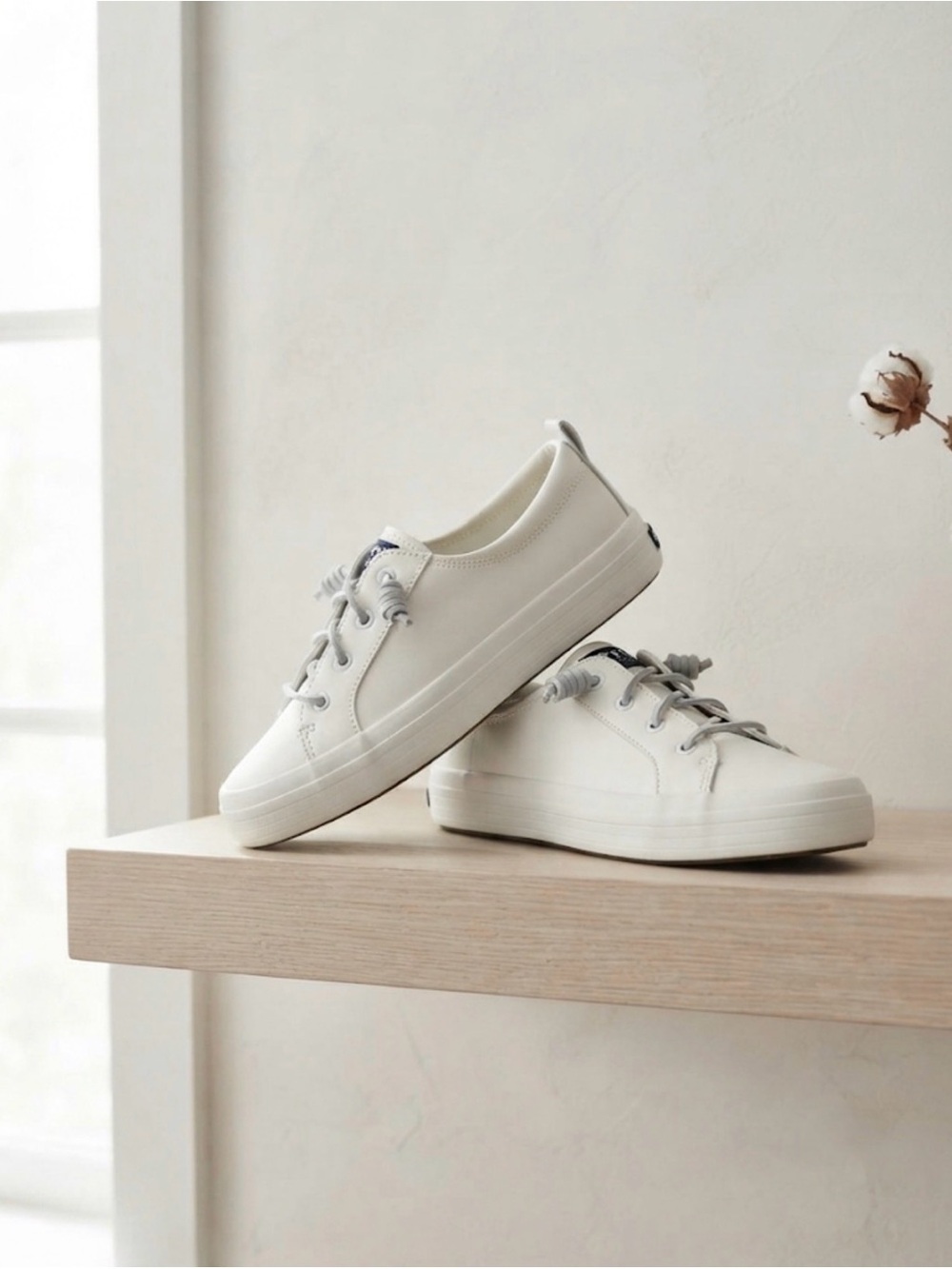 Sperry Crest Vibe Canvas Sneakers - Picture 2 of 7